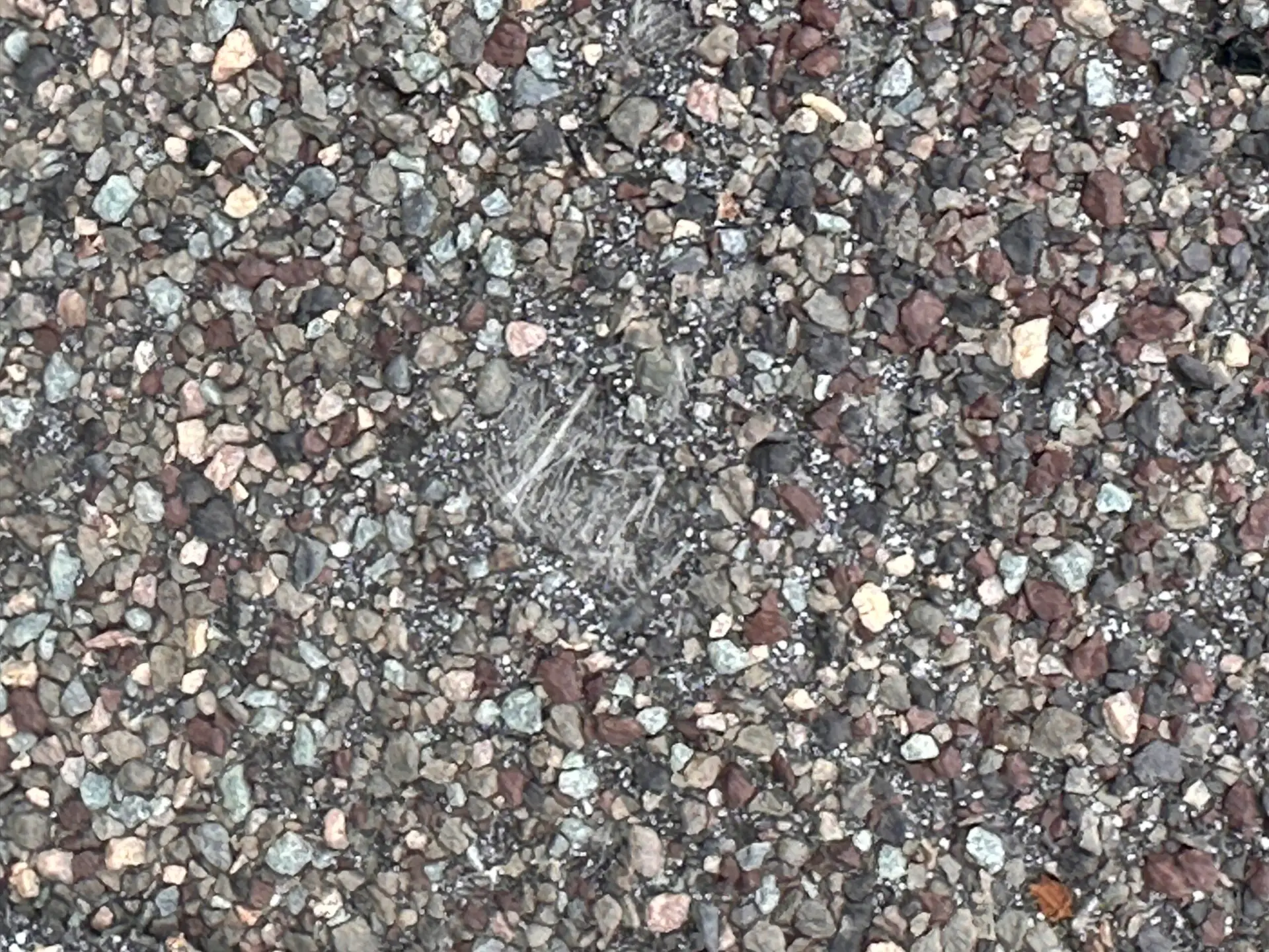 hail damage roof inspection mcallen