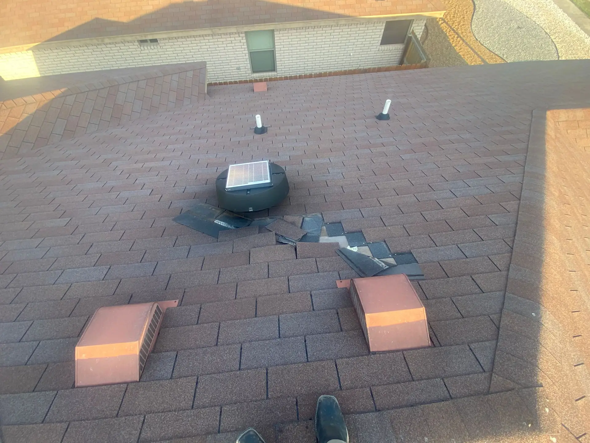 Wind damaged asphalt shingles McAllen