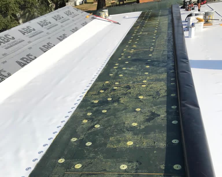 Commercial TPO Roofing McAllen