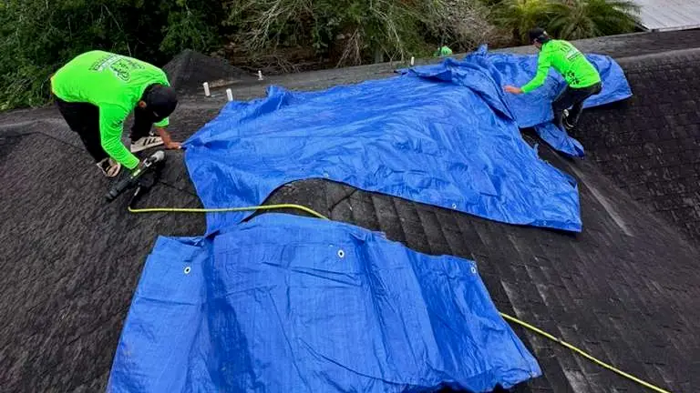 asphalt shingle roofing McAllen