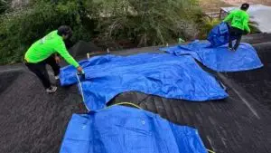 Marva Roofing crew placing blue tarps on a shingle roof for temporary protection